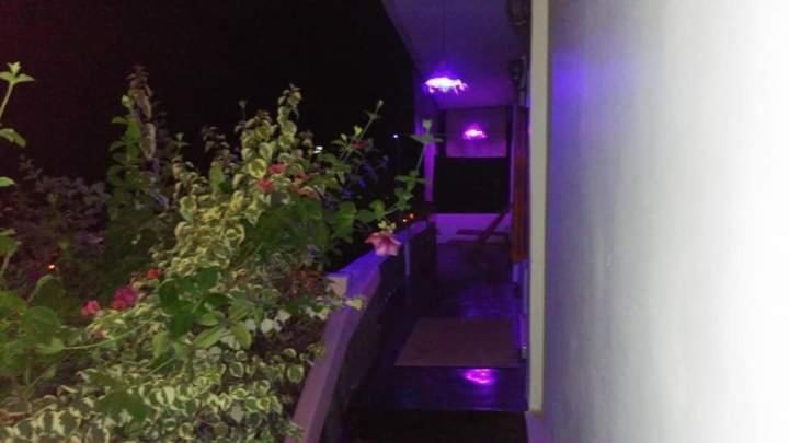 Home Hostel Ella Private Rooms Only Exterior photo